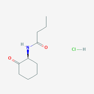 molecular formula C10H18ClNO2 B14213172 N-[(1S)-2-oxocyclohexyl]butanamide;hydrochloride CAS No. 821800-98-0