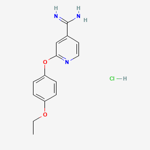 molecular formula C14H16ClN3O2 B1421349 2-(4-乙氧基苯氧基)吡啶-4-甲酰亚胺盐酸盐 CAS No. 1221724-05-5