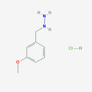 molecular formula C8H13ClN2O B1421443 (3-甲氧基苄基)肼盐酸盐 CAS No. 179108-95-3