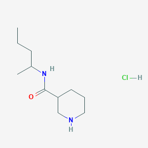 B1421457 N-(pentan-2-yl)piperidine-3-carboxamide hydrochloride CAS No. 1235440-21-7
