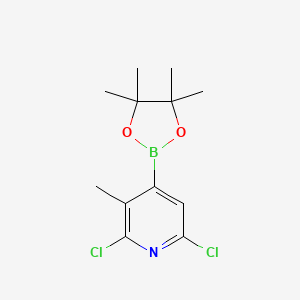 molecular formula C12H16BCl2NO2 B1421495 2,6-二氯-3-甲基-4-(4,4,5,5-四甲基-1,3,2-二恶杂硼环-2-基)吡啶 CAS No. 1010101-08-2