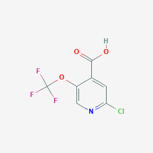 molecular formula C7H3ClF3NO3 B1421557 2-Chloro-5-(trifluoromethoxy)isonicotinic acid CAS No. 1221171-77-2
