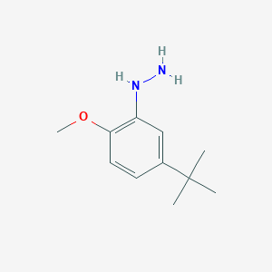 molecular formula C11H18N2O B1421812 (5-叔丁基-2-甲氧基-苯基)-肼 CAS No. 887592-62-3