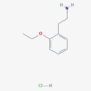 molecular formula C10H16ClNO B1421829 2-(2-乙氧基苯基)乙胺盐酸盐 CAS No. 1251924-90-9