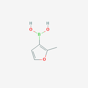 molecular formula C5H7BO3 B1421849 (2-Methylfuran-3-yl)boronic acid CAS No. 1053182-85-6