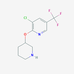molecular formula C11H12ClF3N2O B1421898 3-Chloro-2-(piperidin-3-yloxy)-5-(trifluoromethyl)pyridine CAS No. 1242268-26-3