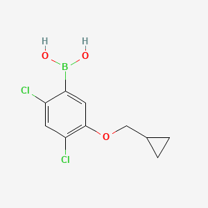 molecular formula C10H11BCl2O3 B1422108 2,4-二氯-5-(环丙基甲氧基)苯硼酸 CAS No. 1256354-91-2