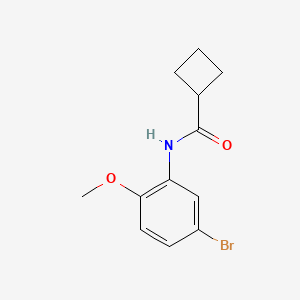 molecular formula C12H14BrNO2 B1422315 N-(5-bromo-2-methoxyphenyl)cyclobutanecarboxamide CAS No. 1249441-25-5