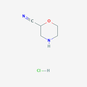 molecular formula C5H9ClN2O B1422465 吗啉-2-碳腈盐酸盐 CAS No. 1205751-07-0