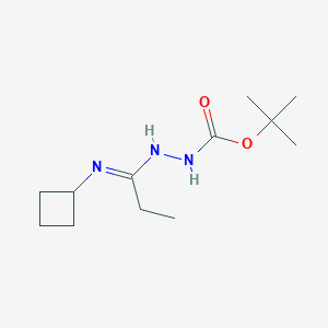 molecular formula C12H23N3O2 B1422583 N'-[1-环丁基氨基亚丙叉基]肼甲酸叔丁酯 CAS No. 1053657-78-5