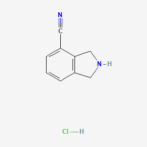 molecular formula C9H9ClN2 B1422593 异吲哚啉-4-甲腈盐酸盐 CAS No. 1159825-57-6