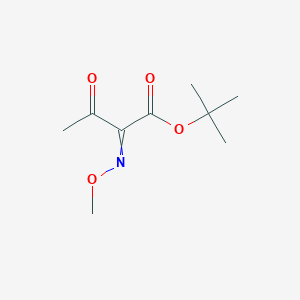 molecular formula C9H15NO4 B1422796 Tert-butyl 2-methoxyimino-3-oxobutyrate CAS No. 76674-93-6