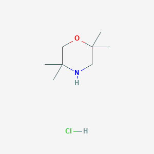 molecular formula C8H18ClNO B1422838 2,2,5,5-Tetramethylmorpholine hydrochloride CAS No. 1311314-96-1