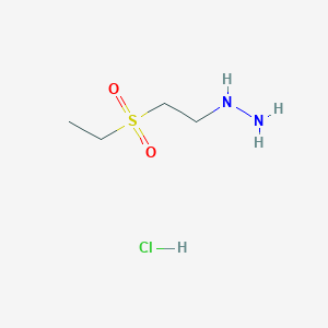 molecular formula C4H13ClN2O2S B1423072 [2-(Ethanesulfonyl)ethyl]hydrazine hydrochloride CAS No. 1311316-51-4