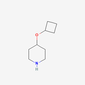 molecular formula C9H17NO B1423099 4-环丁氧基哌啶 CAS No. 1174044-16-6