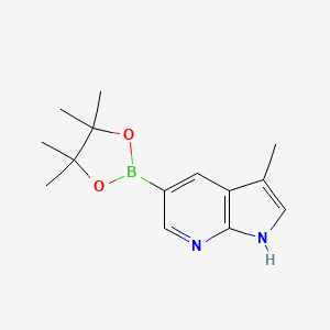 molecular formula C14H19BN2O2 B1423169 3-Methyl-5-(4,4,5,5-tetramethyl-1,3,2-dioxaborolan-2-YL)-1H-pyrrolo[2,3-B]pyridine CAS No. 1111637-95-6
