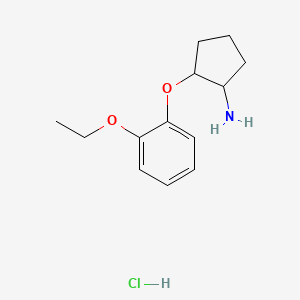 molecular formula C13H20ClNO2 B1423292 2-(2-Ethoxyphenoxy)cyclopentan-1-amine hydrochloride CAS No. 1354953-03-9