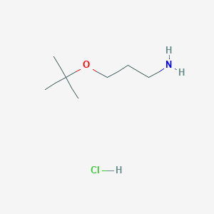 molecular formula C7H18ClNO B1423419 3-(tert-Butoxy)propylamine hydrochloride CAS No. 864658-14-0