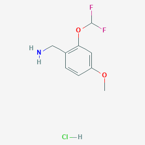 B1423557 [2-(Difluoromethoxy)-4-methoxyphenyl]methanamine hydrochloride CAS No. 1354962-33-6