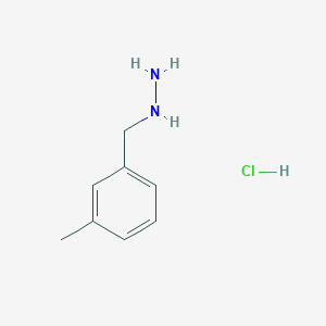 molecular formula C8H13ClN2 B1423668 (3-甲基苯基)肼盐酸盐 CAS No. 1255718-15-0