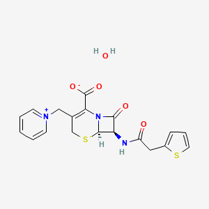 molecular formula C19H19N3O5S2 B1423686 头孢利定一水合物 CAS No. 102039-86-1