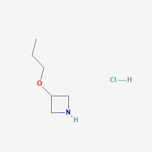 molecular formula C6H14ClNO B1423720 3-丙氧基氮杂环丙烷盐酸盐 CAS No. 897019-55-5