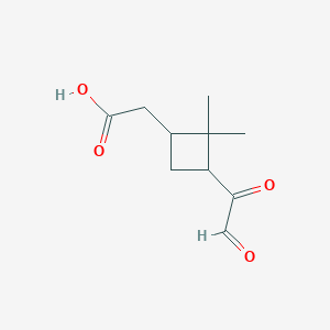 [2,2-Dimethyl-3-(oxoacetyl)cyclobutyl]acetic acid