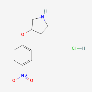 molecular formula C10H13ClN2O3 B1423825 3-(4-硝基苯氧基)吡咯烷盐酸盐 CAS No. 1187930-80-8