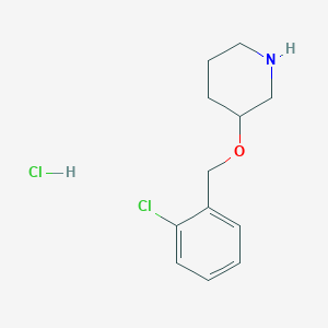 molecular formula C12H17Cl2NO B1423897 3-[(2-Chlorobenzyl)oxy]piperidine hydrochloride CAS No. 1220017-44-6