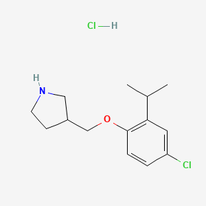 molecular formula C14H21Cl2NO B1423898 3-[(4-Chloro-2-isopropylphenoxy)methyl]-pyrrolidine hydrochloride CAS No. 1219979-41-5