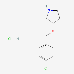 molecular formula C11H15Cl2NO B1423899 3-[(4-氯苄基)氧基]吡咯烷盐酸盐 CAS No. 1219981-09-5