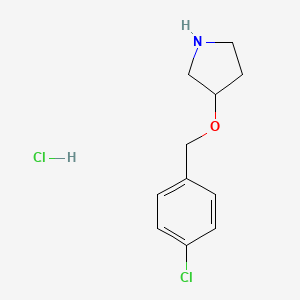 molecular formula C11H15Cl2NO B1423899 3-[(4-Chlorbenzyl)oxy]pyrrolidin-Hydrochlorid CAS No. 1219981-09-5