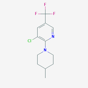 molecular formula C12H14ClF3N2 B1423900 3-Chloro-2-(4-methyl-1-piperidinyl)-5-(trifluoromethyl)pyridine CAS No. 1219980-96-7