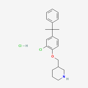 molecular formula C21H27Cl2NO B1423905 3-{[2-Chloro-4-(1-methyl-1-phenylethyl)phenoxy]-methyl}piperidine hydrochloride CAS No. 1220032-92-7