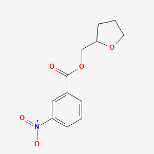 molecular formula C12H13NO5 B14239129 Tetrahydrofuran-2-ylmethyl 3-nitrobenzoate 