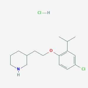 molecular formula C16H25Cl2NO B1423957 3-[2-(4-氯-2-异丙基苯氧基)乙基]-哌啶盐酸盐 CAS No. 1220030-43-2