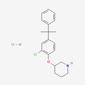molecular formula C20H25Cl2NO B1423958 3-[2-Chloro-4-(1-methyl-1-phenylethyl)phenoxy]-piperidine hydrochloride CAS No. 1220016-79-4