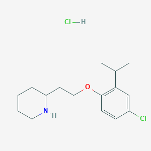 molecular formula C16H25Cl2NO B1423991 2-[2-(4-Chloro-2-isopropylphenoxy)ethyl]-piperidine hydrochloride CAS No. 1219967-68-6