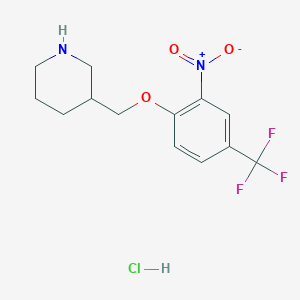 molecular formula C13H16ClF3N2O3 B1423997 3-{[2-Nitro-4-(trifluoromethyl)phenoxy]-methyl}piperidine hydrochloride CAS No. 1220037-17-1