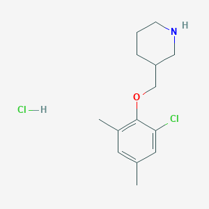 molecular formula C14H21Cl2NO B1424000 3-[(2-Chloro-4,6-dimethylphenoxy)methyl]-piperidine hydrochloride CAS No. 1220035-32-4