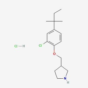molecular formula C16H25Cl2NO B1424002 3-{[2-Chloro-4-(tert-pentyl)phenoxy]-methyl}pyrrolidine hydrochloride CAS No. 1219979-65-3