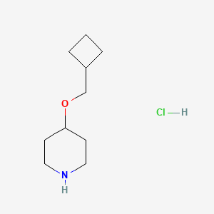 molecular formula C10H20ClNO B1424004 4-(Cyclobutylmethoxy)piperidine hydrochloride CAS No. 1220034-46-7