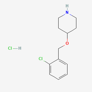 molecular formula C12H17Cl2NO B1424006 4-[(2-Chlorobenzyl)oxy]piperidine hydrochloride CAS No. 1220033-09-9