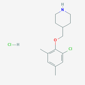 molecular formula C14H21Cl2NO B1424007 4-[(2-Chloro-4,6-dimethylphenoxy)methyl]-piperidine hydrochloride CAS No. 1219971-94-4