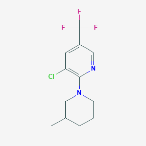 molecular formula C12H14ClF3N2 B1424012 3-Chloro-2-(3-methyl-1-piperidinyl)-5-(trifluoromethyl)pyridine CAS No. 1220036-31-6