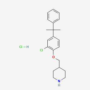 molecular formula C21H27Cl2NO B1424017 4-{[2-氯-4-(1-甲基-1-苯基乙基)苯氧基]-甲基}哌啶盐酸盐 CAS No. 1219972-17-4