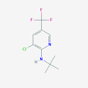 molecular formula C10H12ClF3N2 B1424030 N-(Tert-butyl)-3-chloro-5-(trifluoromethyl)-2-pyridinamine CAS No. 1220037-10-4