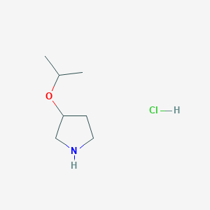 molecular formula C7H16ClNO B1424035 3-Isopropoxypyrrolidine hydrochloride CAS No. 1220016-56-7