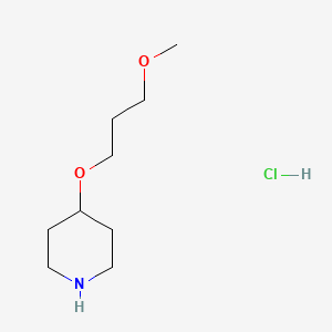 molecular formula C9H20ClNO2 B1424036 4-(3-Methoxypropoxy)piperidine hydrochloride CAS No. 800402-19-1