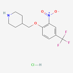 molecular formula C13H16ClF3N2O3 B1424039 4-{[2-硝基-4-(三氟甲基)苯氧基]-甲基}哌啶盐酸盐 CAS No. 1219957-05-7